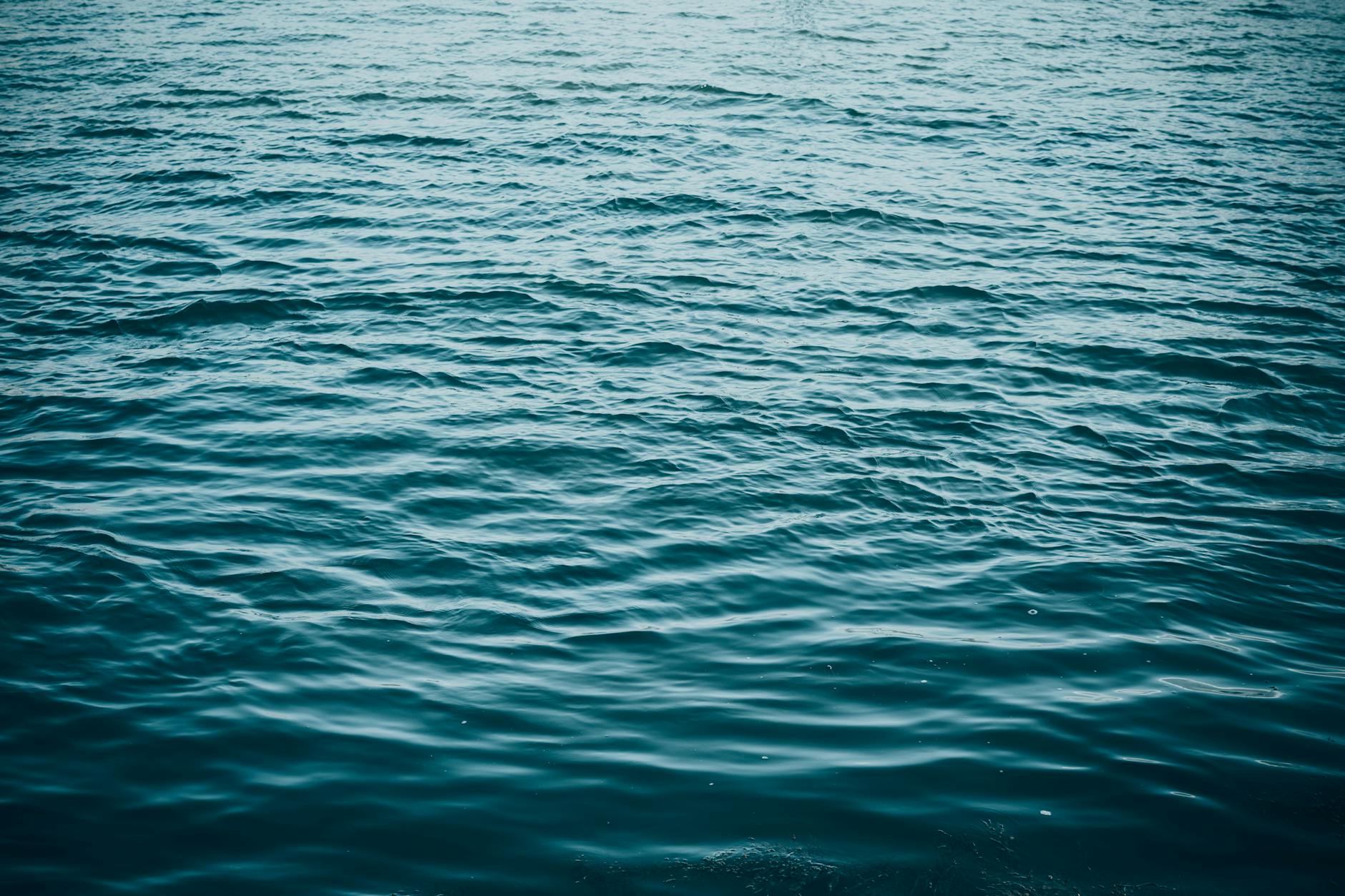 Southern Storyteller, Ann Hite, Talks About her Novel, Going to the Water
