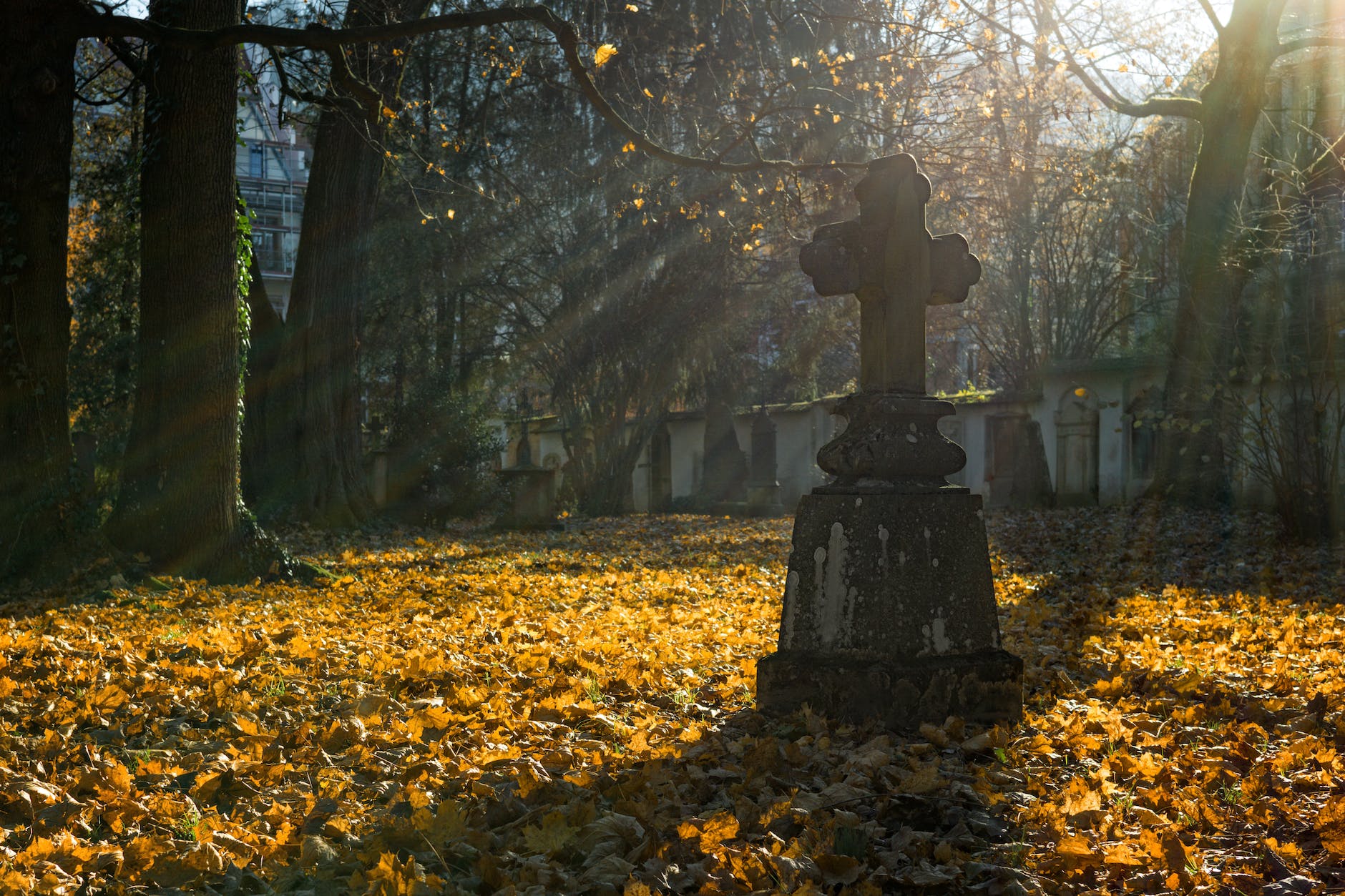 Love Cemeteries, Ghosts Tours, and all things Creepy?